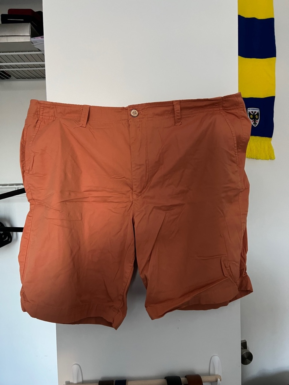 Tailor Vintage Rust Orange Flat-Front Men's Shorts
